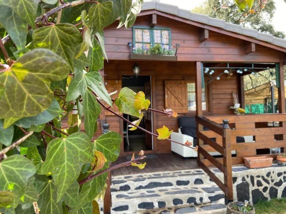 Desconexion Y Paz, Cabana En La Sierra Albalate De Zorita Exterior foto