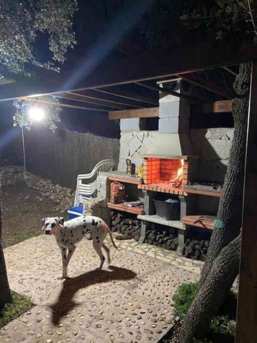 Desconexion Y Paz, Cabana En La Sierra Albalate De Zorita Exterior foto